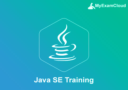 Java SE Video Training Course